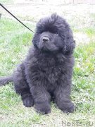 Превью фото № 236029