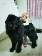 Превью фото № 236032