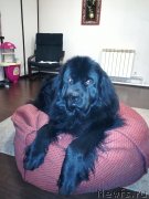 Превью фото № 236033