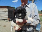 Превью фото № 236045