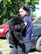 Превью фото № 236048