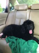 Превью фото № 236050