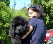 Превью фото № 236052