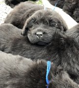 Превью фото № 236071