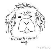 Превью фото № 236075