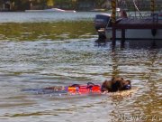 Превью фото № 236102