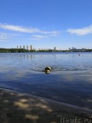 Превью фото № 236104