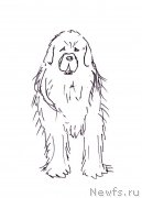 Превью фото № 236117