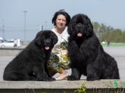 Превью фото № 236129