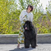 Превью фото № 236131