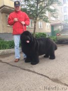 Превью фото № 236136