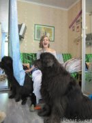 Превью фото № 236141