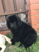 Превью фото № 236157