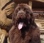 Превью фото № 236197