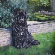 Превью фото № 236202