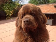 Превью фото № 236285