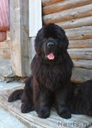 Превью фото № 236298