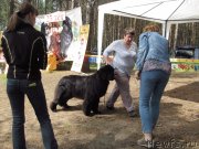 Превью фото № 236300