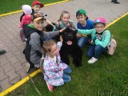 Превью фото № 236349