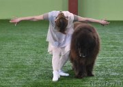 Превью фото № 236355