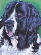 Превью фото № 236382