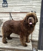 Превью фото № 236386