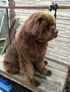 Превью фото № 236387