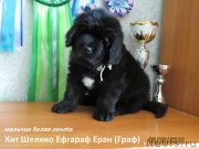 Превью фото № 236425