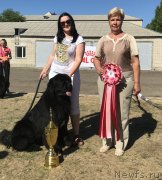 Превью фото № 236456