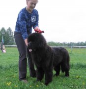 Превью фото № 236472