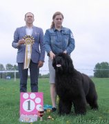 Превью фото № 236478