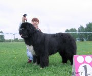 Превью фото № 236488