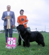 Превью фото № 236491