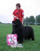 Превью фото № 236496