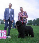 Превью фото № 236498