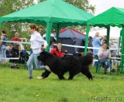 Превью фото № 236508