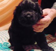 Превью фото № 236532