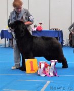 Превью фото № 236534