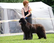 Превью фото № 236537