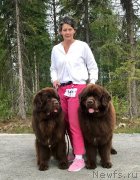 Превью фото № 236541