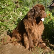 Превью фото № 236563