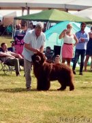 Превью фото № 236569