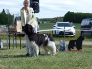 Превью фото № 236579