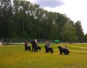 Превью фото № 236587