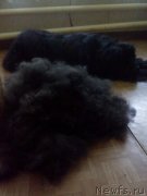 Превью фото № 236601