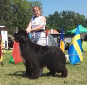 Превью фото № 236624