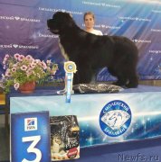 Превью фото № 236625