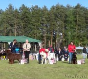 Превью фото № 236626