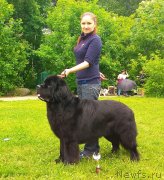 Превью фото № 236658