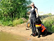 Превью фото № 236729